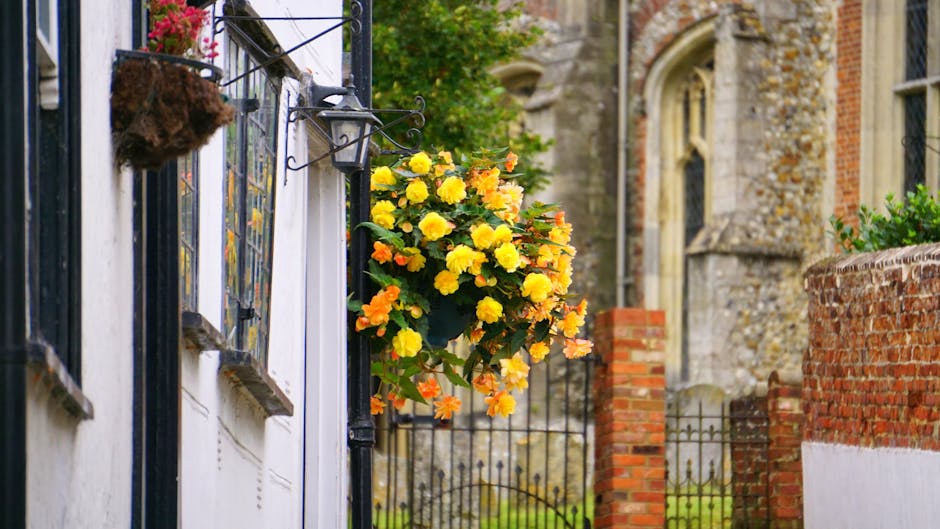 A vibrant window box filled with bright yellow and orange begonias affixed to the white exterior wall of a building. The flowers are lush and fresh, with delicate petals and green stems, arranged in a